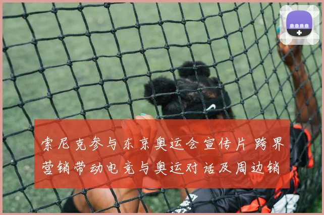 索尼克参与东京奥运会宣传片 跨界营销带动电竞与奥运对话及周边销售