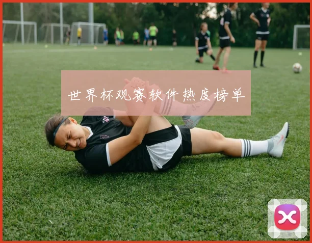 世界杯观赛软件热度榜单