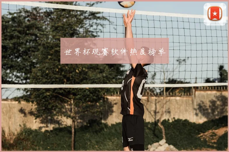 世界杯观赛软件热度榜单