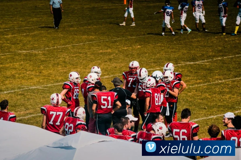 乐竞网站APP 封面图