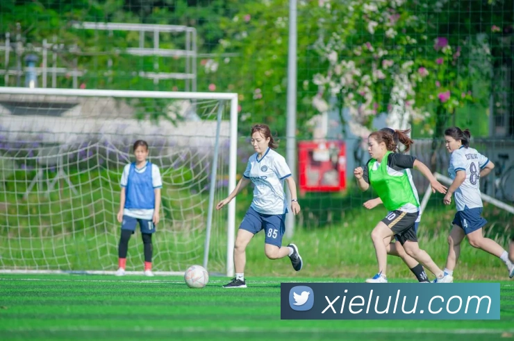 数据防护可视化